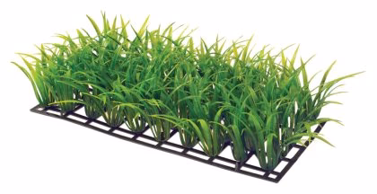 Dekorväxt Plant Mat 25×12,5cm