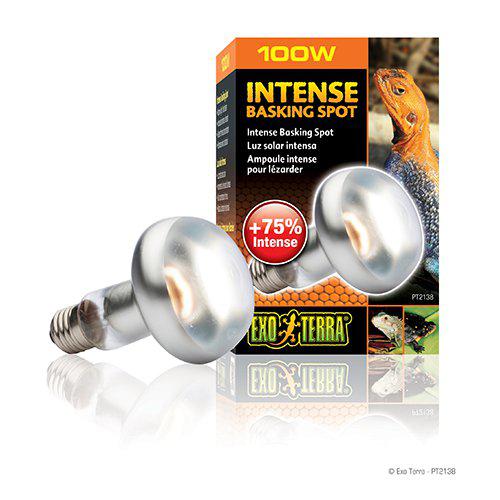 INTENSE BASKING SPOT 100W S25 E27 EXTERRA ’ORANGE’