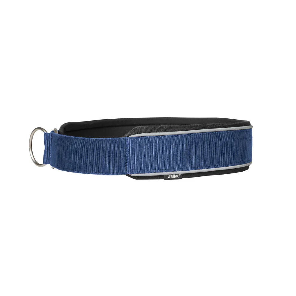 Back On Track ”Charlie” Hundhalsband Blå