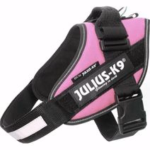  IDC SELE, 66-85 CM NR 1 ROSA