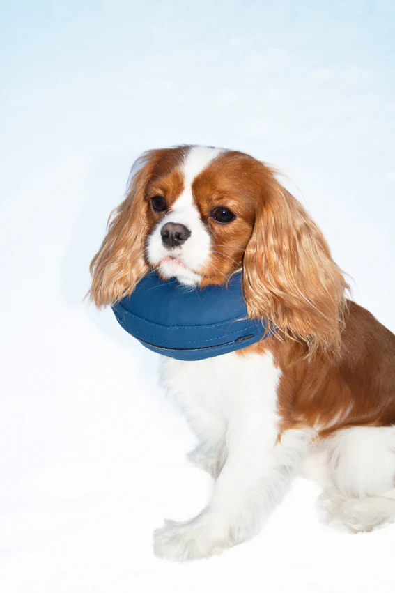 Hundkrage PetNation, uppblåsbar, nr 1, 14-18 cm, blå