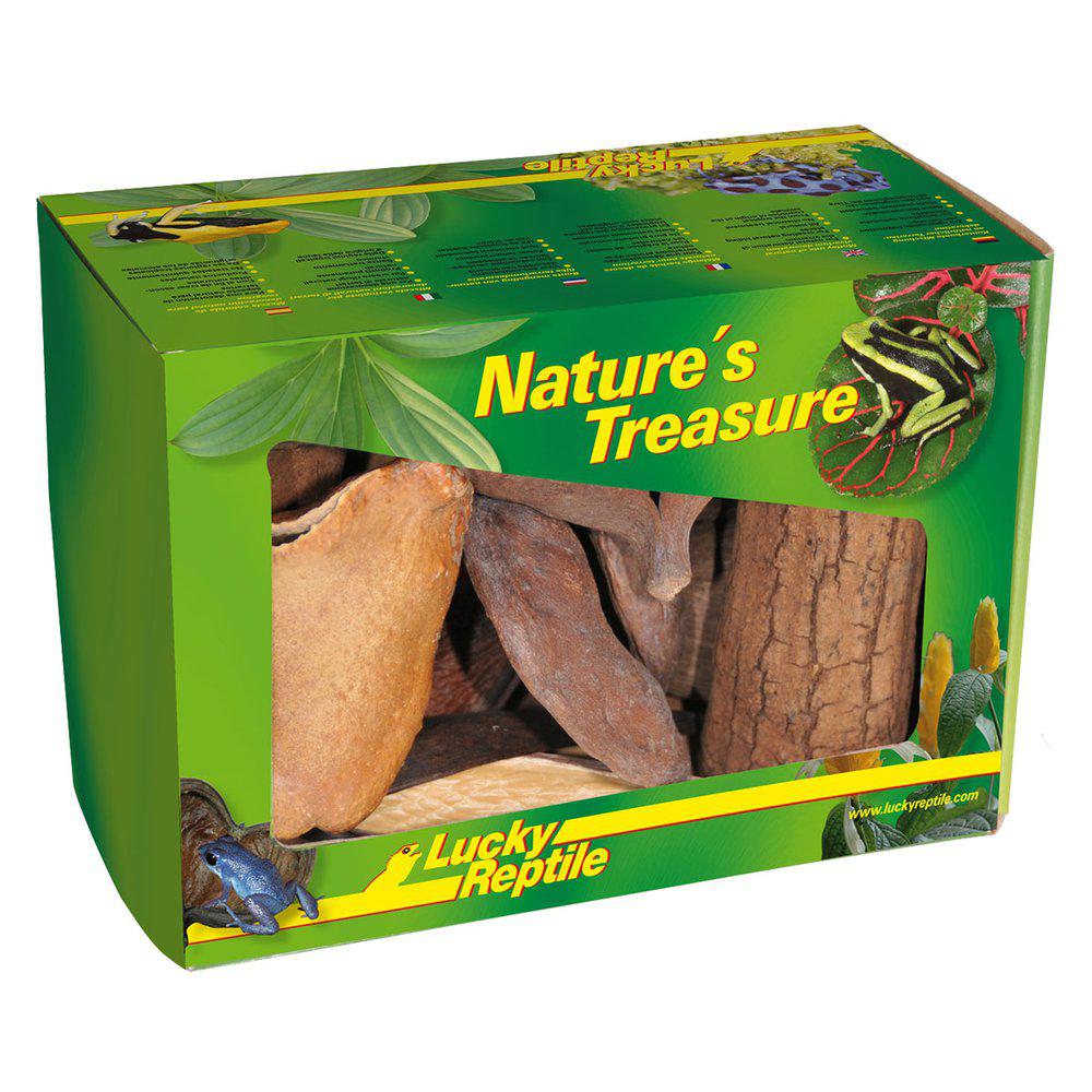 DEKORATIONSBOX NATURE’S TREASURE