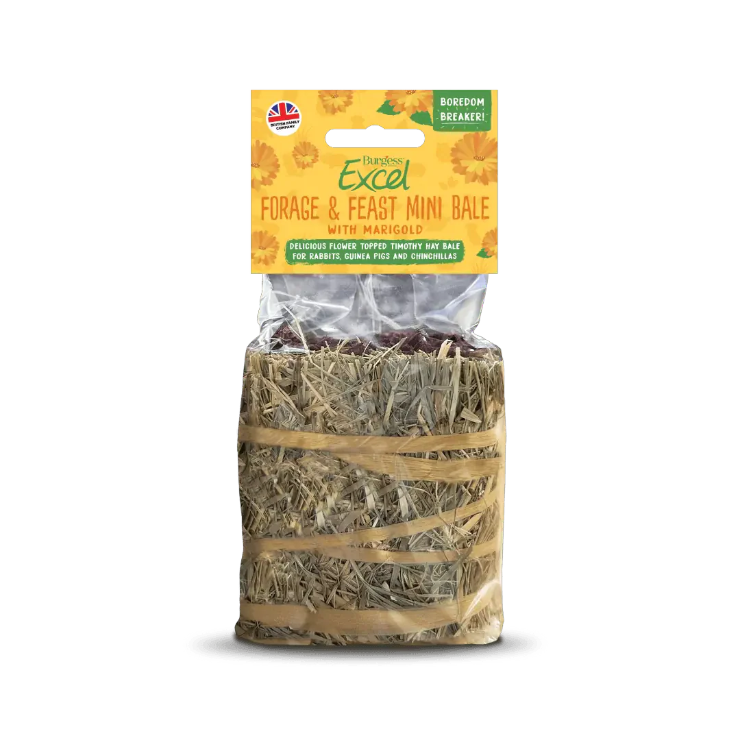 Burgess Excel Forage & Feast Mini Bale Marigold 100g