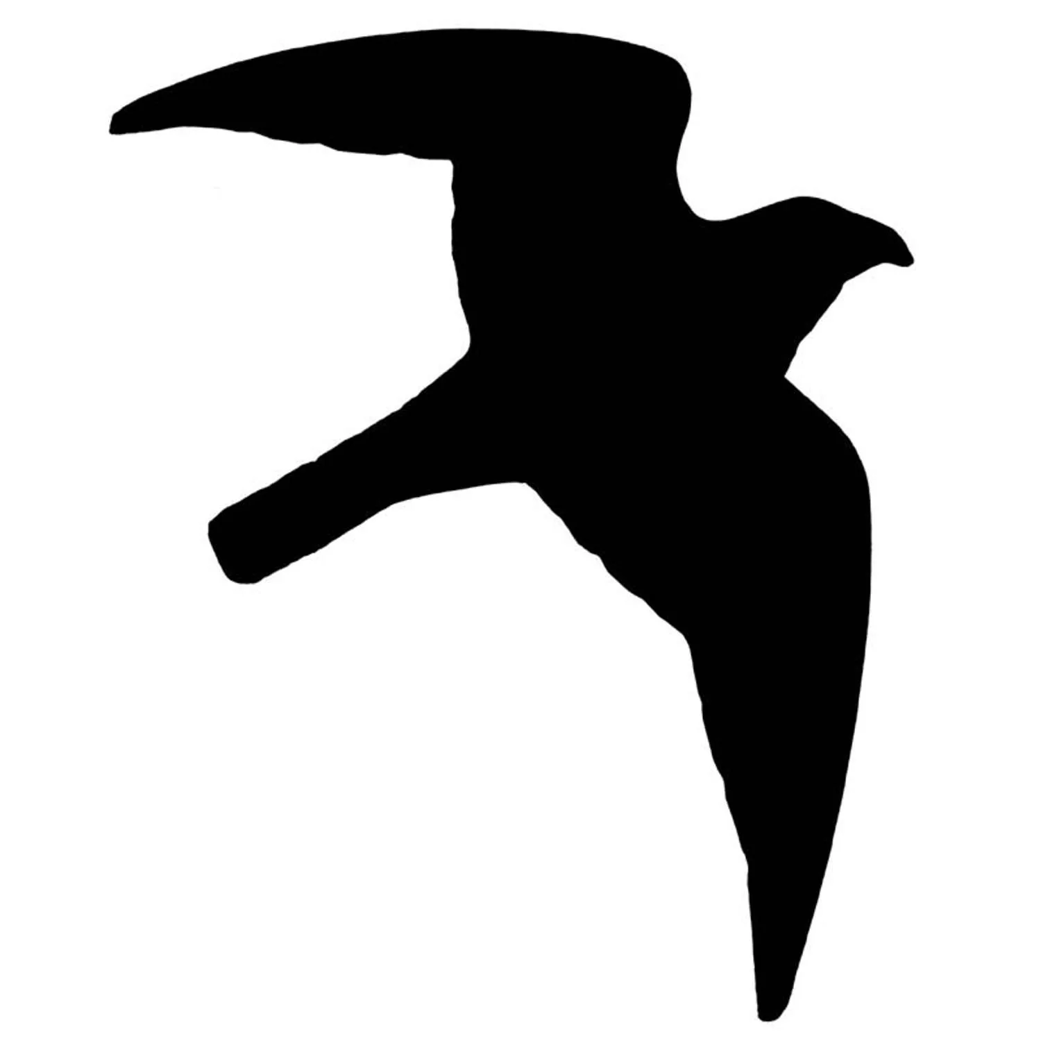 Sticker bird of prey 10st