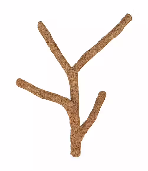 Coconut Branch Troncho 80cm – L